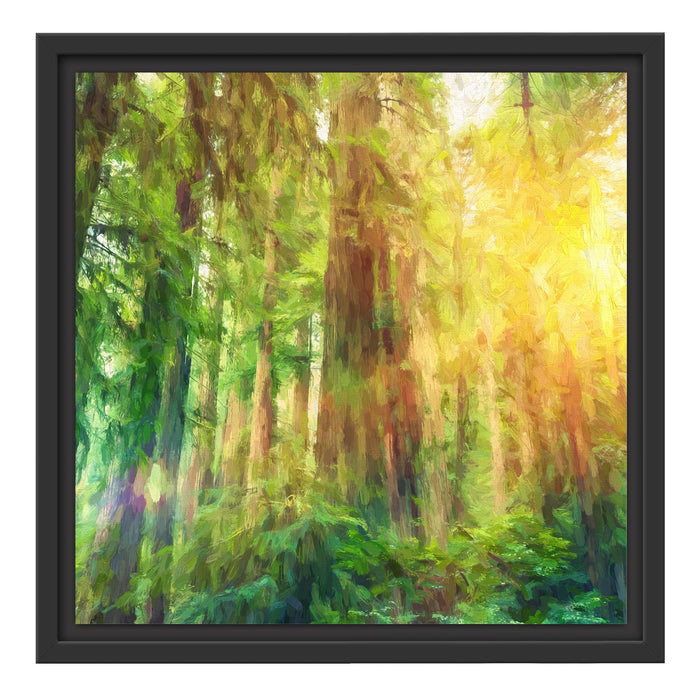 Wald bei Sonnenlicht Kunst Schattenfugenrahmen Quadratisch 40x40