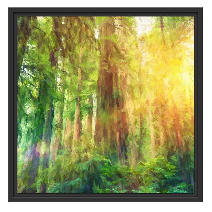 Wald bei Sonnenlicht Kunst Schattenfugenrahmen Quadratisch 55x55