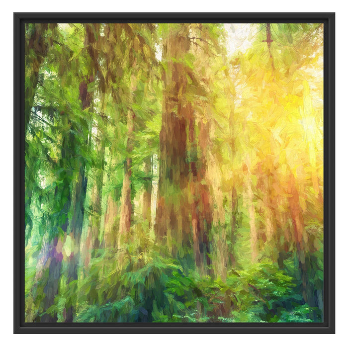 Wald bei Sonnenlicht Kunst Schattenfugenrahmen Quadratisch 70x70