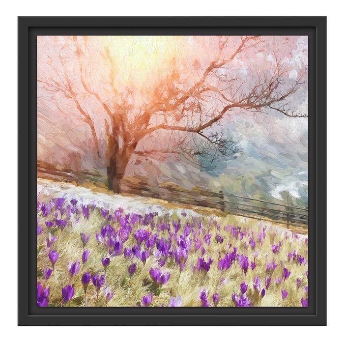 Krokusswiese in Gebirge Kunst Schattenfugenrahmen Quadratisch 40x40