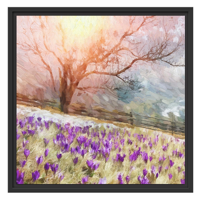 Krokusswiese in Gebirge Kunst Schattenfugenrahmen Quadratisch 55x55