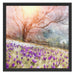 Krokusswiese in Gebirge Kunst Schattenfugenrahmen Quadratisch 55x55