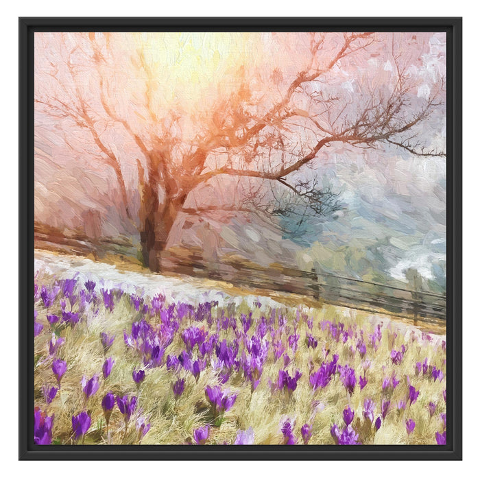 Krokusswiese in Gebirge Kunst Schattenfugenrahmen Quadratisch 70x70