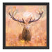 Großer Hirsch im Feld Kunst Schattenfugenrahmen Quadratisch 40x40