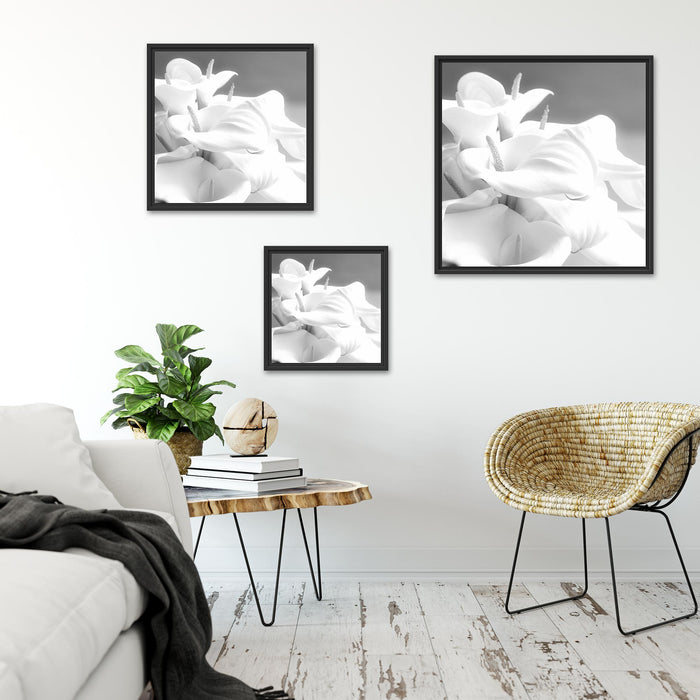 weiße Calla Lilien Kunst B&W Quadratisch Schattenfugenrahmen Wohnzimmer