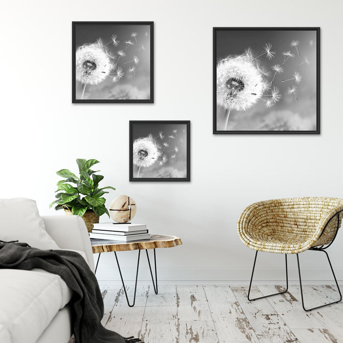 Löwenzahn Samen Kunst B&W Quadratisch Schattenfugenrahmen Wohnzimmer