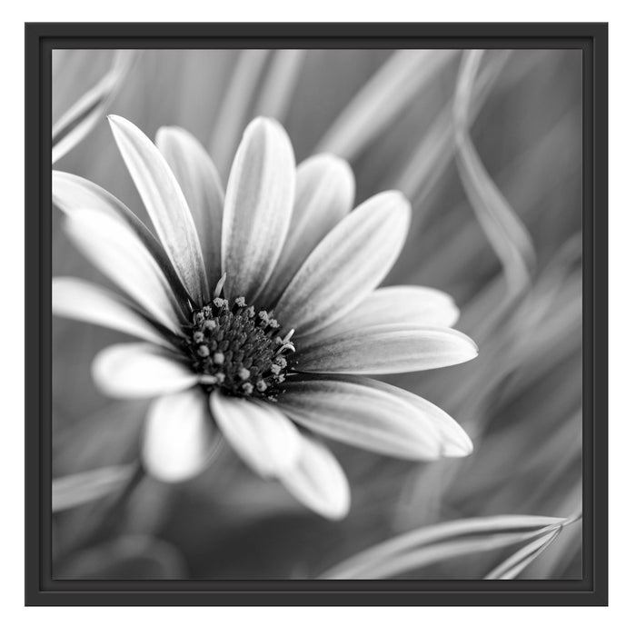 Blume in der Natur Schattenfugenrahmen Quadratisch 55x55