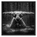 Bodybuilder im Regen Kunst B&W Schattenfugenrahmen Quadratisch 70x70