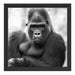 gelangweilter Gorilla Kunst B&W Schattenfugenrahmen Quadratisch 40x40