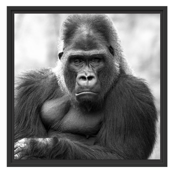 gelangweilter Gorilla Kunst B&W Schattenfugenrahmen Quadratisch 55x55