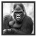 gelangweilter Gorilla Kunst B&W Schattenfugenrahmen Quadratisch 55x55