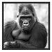 gelangweilter Gorilla Kunst B&W Schattenfugenrahmen Quadratisch 70x70