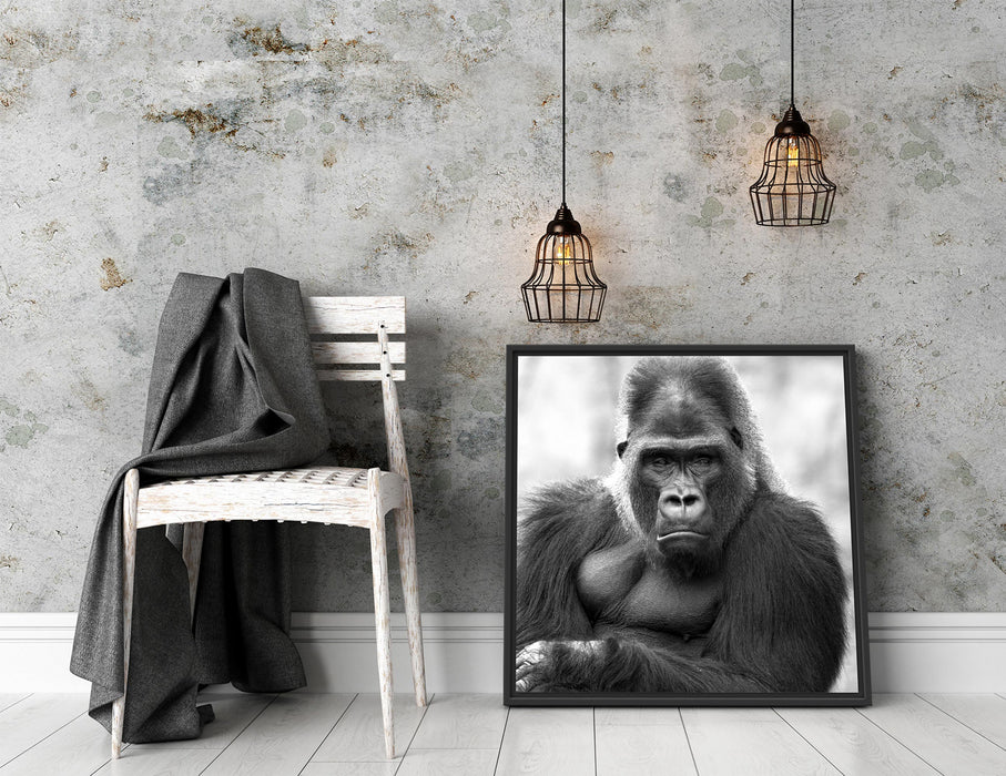 gelangweilter Gorilla Kunst B&W Quadratisch Schattenfugenrahmen Dekovorschlag