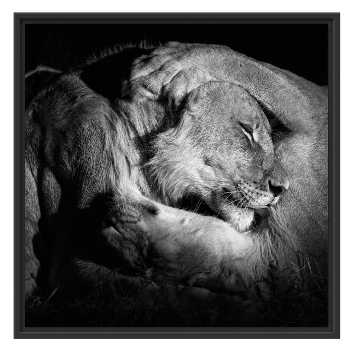 Männer Frauen Löwe kuscheln Schattenfugenrahmen Quadratisch 70x70