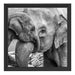 Elefantenmutter mit Kalb B&W Schattenfugenrahmen Quadratisch 40x40