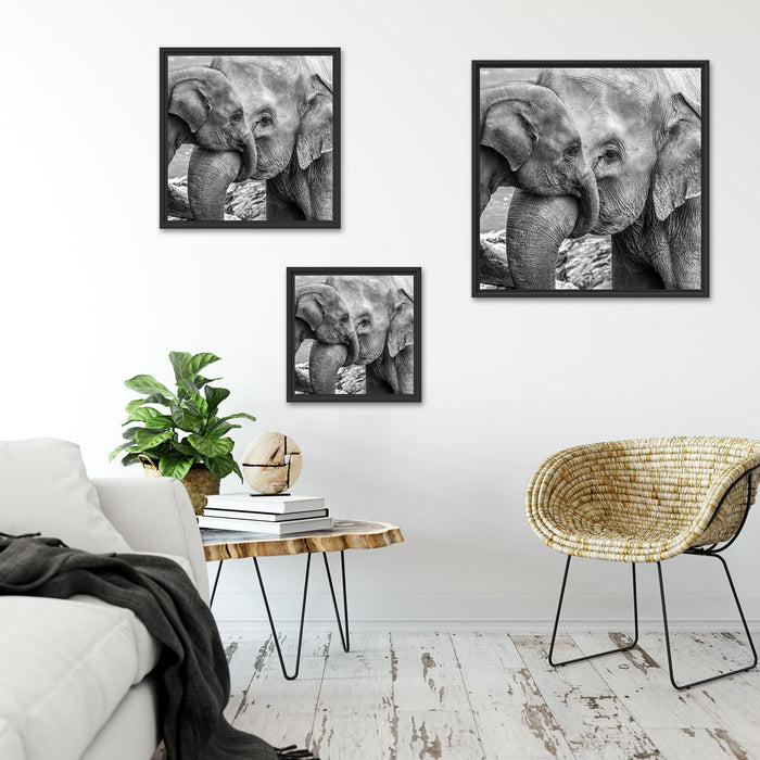 Elefantenmutter mit Kalb B&W Quadratisch Schattenfugenrahmen Wohnzimmer