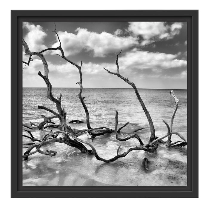 Strand Meer Havanna Kuba Schattenfugenrahmen Quadratisch 40x40