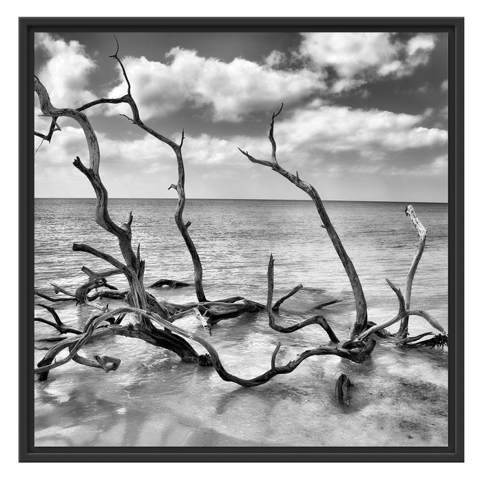 Strand Meer Havanna Kuba Schattenfugenrahmen Quadratisch 70x70