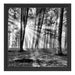 Waldlichtung im Sonnenschein Schattenfugenrahmen Quadratisch 40x40