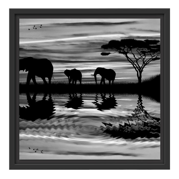 Afrika Elefant in Sonnenschein Schattenfugenrahmen Quadratisch 40x40
