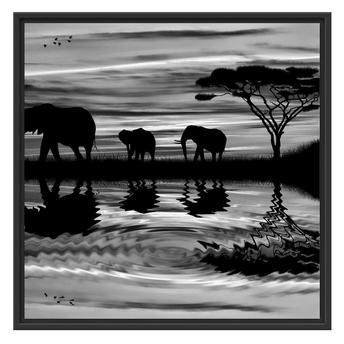 Afrika Elefant in Sonnenschein Schattenfugenrahmen Quadratisch 70x70