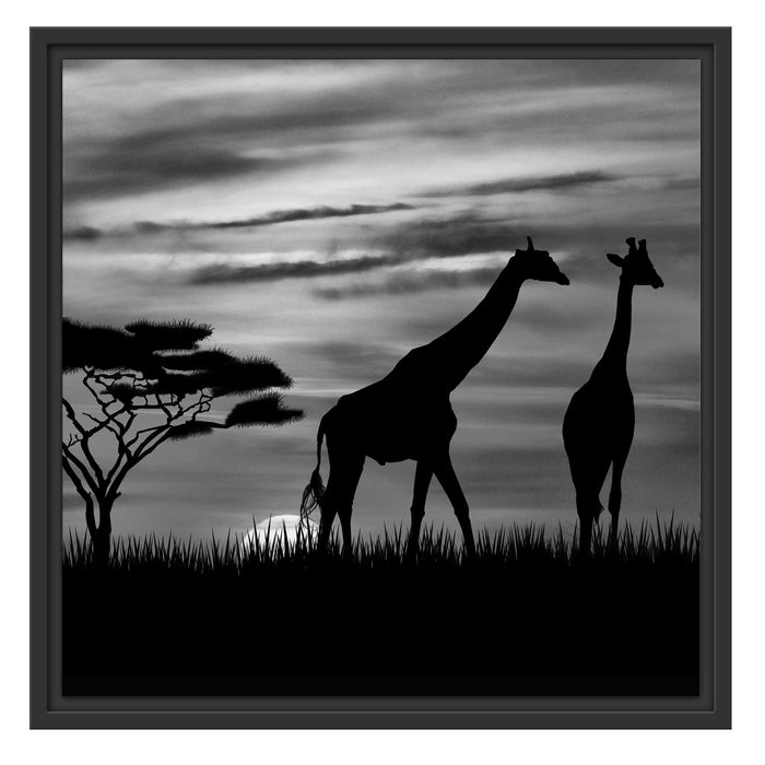 Afrika Giraffen im Sonnenuntergang Schattenfugenrahmen Quadratisch 55x55