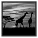Afrika Giraffen im Sonnenuntergang Schattenfugenrahmen Quadratisch 70x70