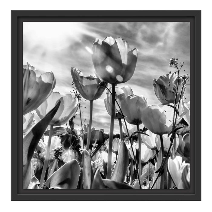 Blumenwiese Schattenfugenrahmen Quadratisch 40x40