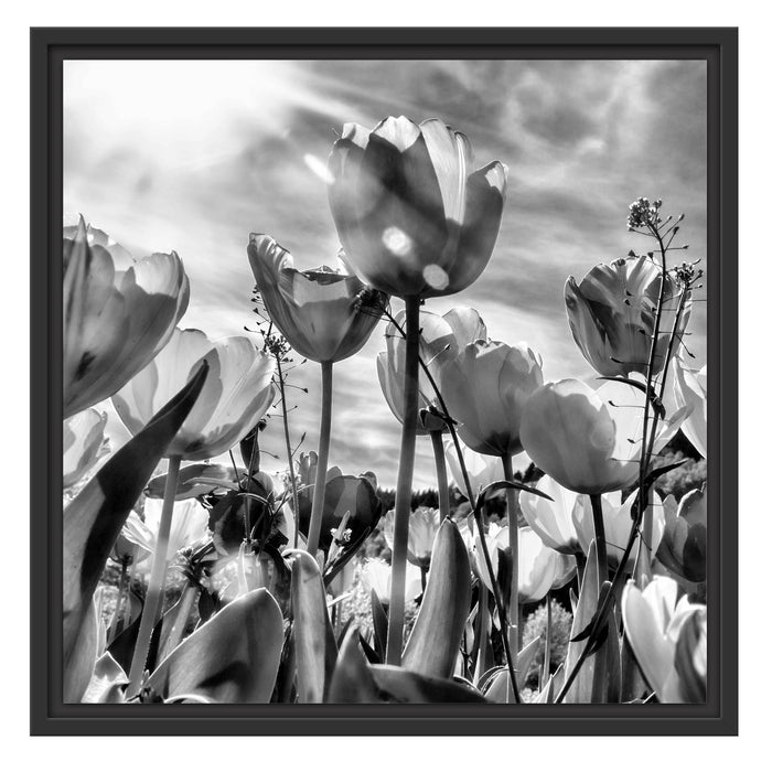 Blumenwiese Schattenfugenrahmen Quadratisch 55x55