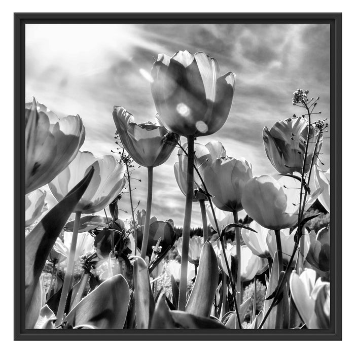 Blumenwiese Schattenfugenrahmen Quadratisch 70x70