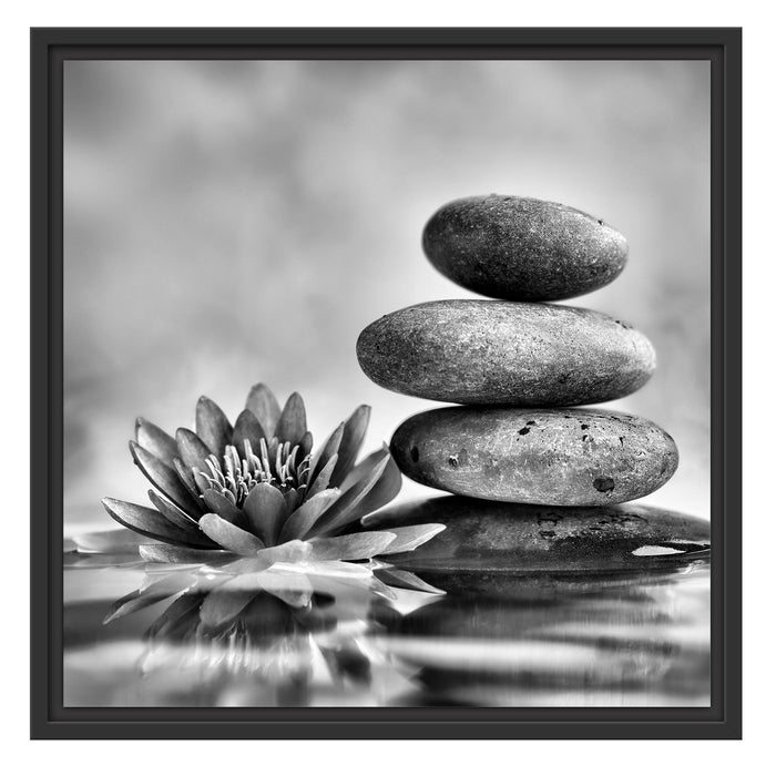 Seerosenblüte mit Zen Steinen Schattenfugenrahmen Quadratisch 55x55