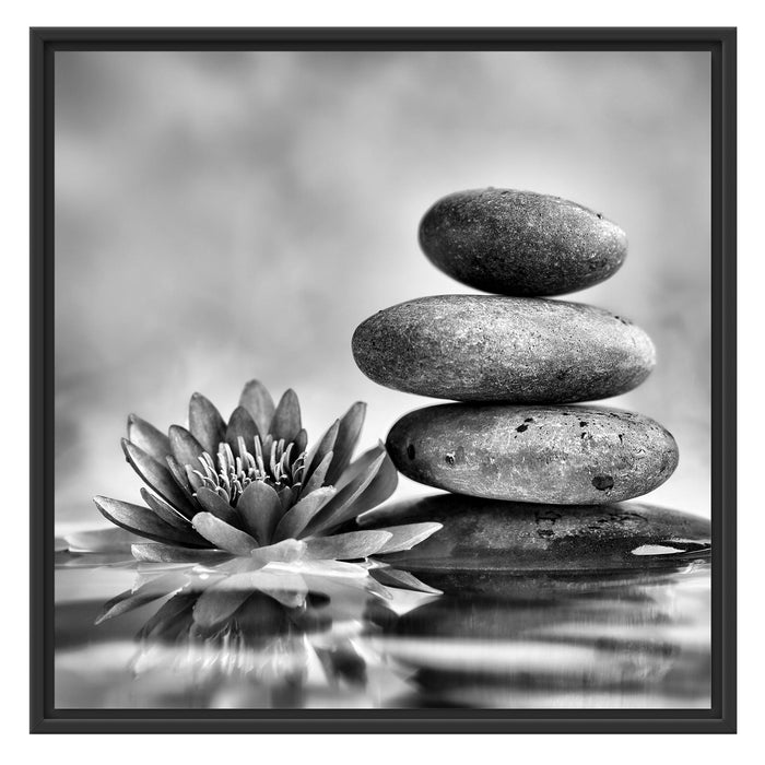Seerosenblüte mit Zen Steinen Schattenfugenrahmen Quadratisch 70x70