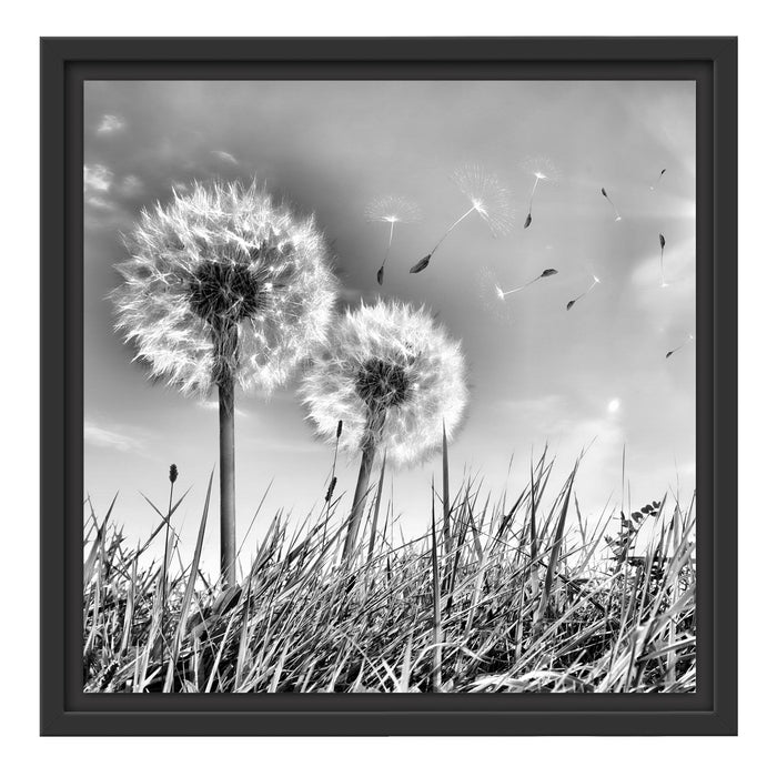 Pusteblumen auf Frühlingswiese Schattenfugenrahmen Quadratisch 40x40