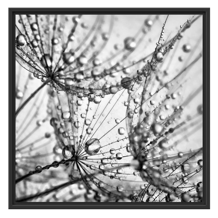 Pusteblumen Tau Schattenfugenrahmen Quadratisch 70x70