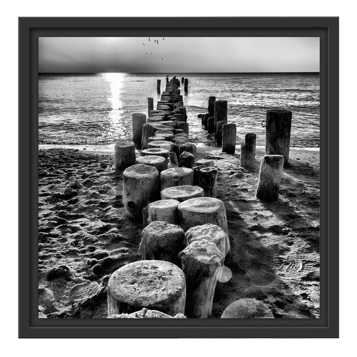 Baumstümpfe am Meer Schattenfugenrahmen Quadratisch 40x40