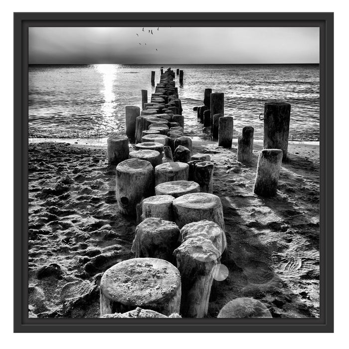 Baumstümpfe am Meer Schattenfugenrahmen Quadratisch 55x55