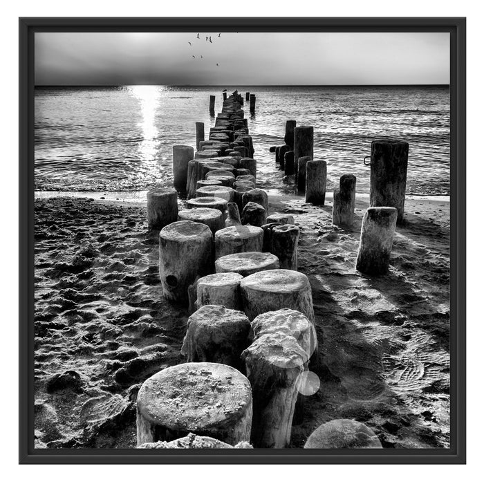 Baumstümpfe am Meer Schattenfugenrahmen Quadratisch 70x70