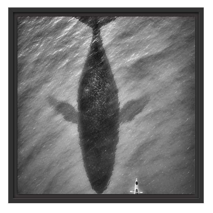 Riesiger Wal Schatten Schattenfugenrahmen Quadratisch 55x55