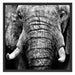 Elefant Porträt Schattenfugenrahmen Quadratisch 70x70