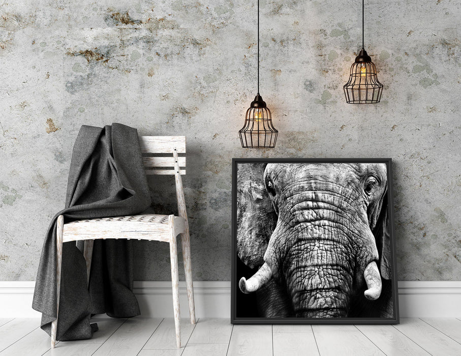 Elefant Porträt Quadratisch Schattenfugenrahmen Dekovorschlag
