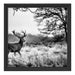 Hirsch im Sonnenuntergang Schattenfugenrahmen Quadratisch 40x40