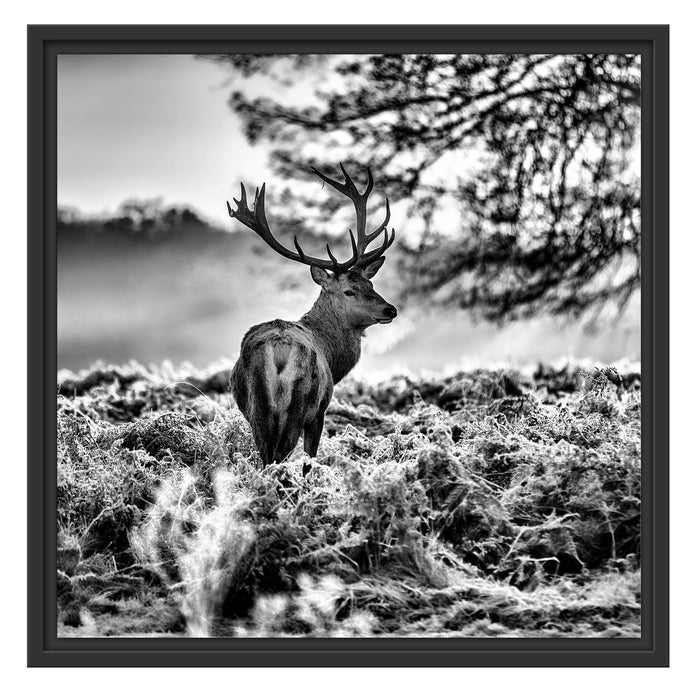 Hirsch im Wald Schattenfugenrahmen Quadratisch 55x55