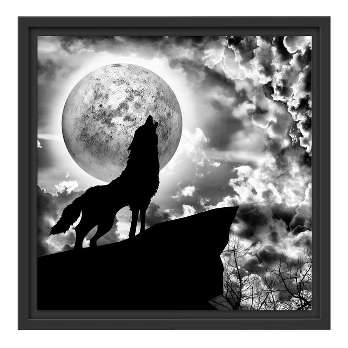Wolf heult den Mond an Schattenfugenrahmen Quadratisch 40x40