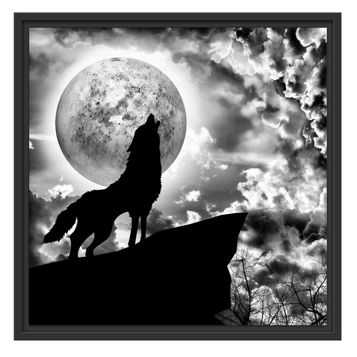 Wolf heult den Mond an Schattenfugenrahmen Quadratisch 55x55