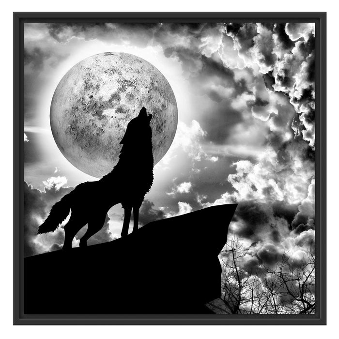 Wolf heult den Mond an Schattenfugenrahmen Quadratisch 70x70