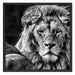 schönes Löwenpaar Schattenfugenrahmen Quadratisch 70x70
