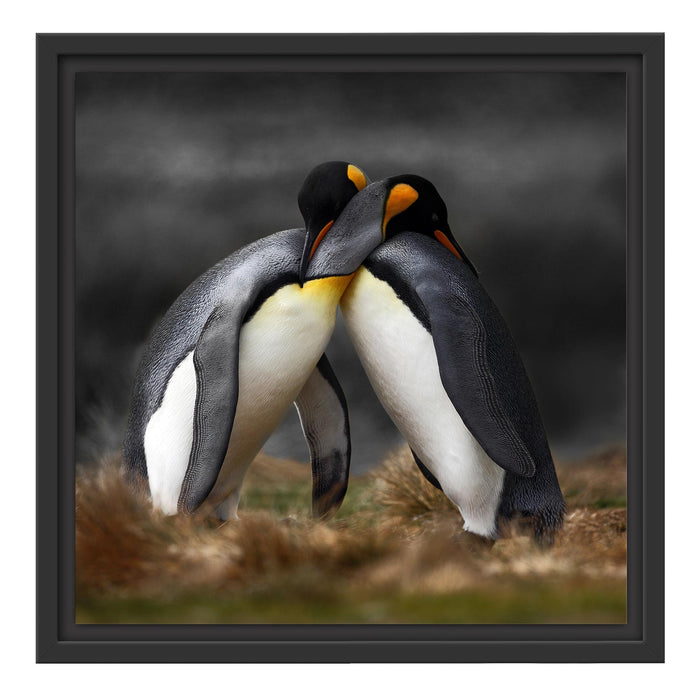 Pinguine in der Antarktis Schattenfugenrahmen Quadratisch 40x40