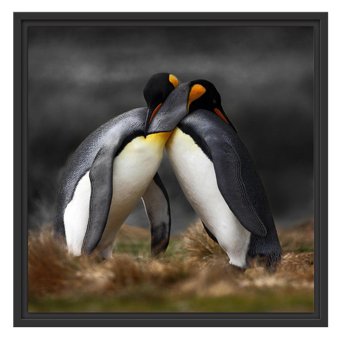 Pinguine in der Antarktis Schattenfugenrahmen Quadratisch 55x55