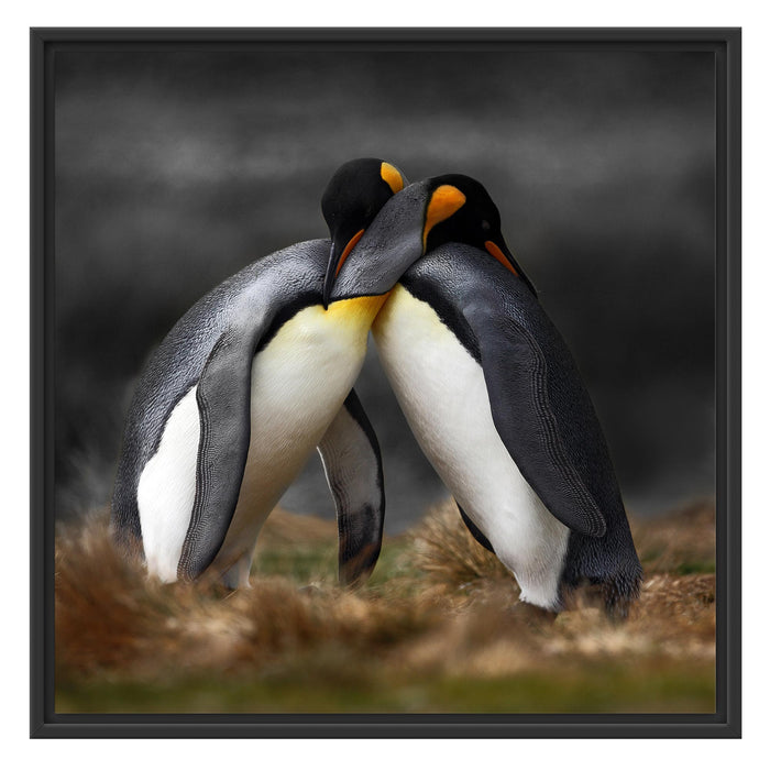 Pinguine in der Antarktis Schattenfugenrahmen Quadratisch 70x70
