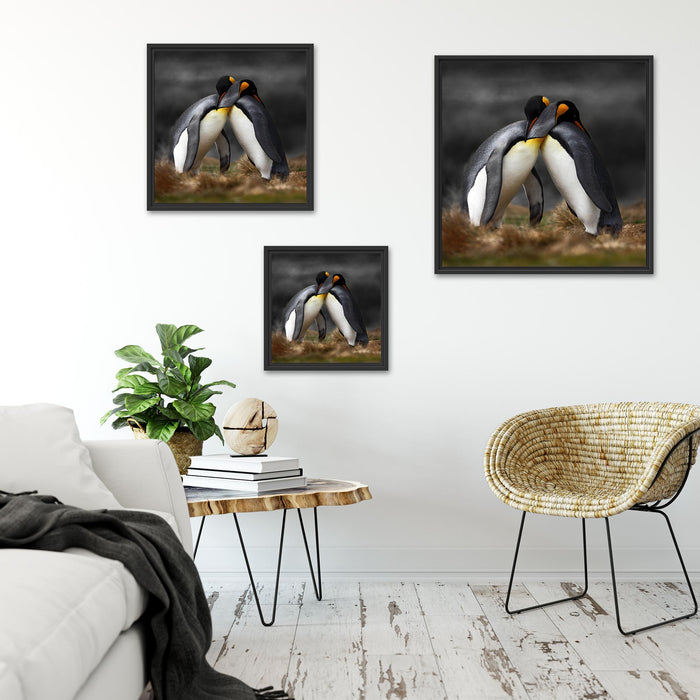 Pinguine in der Antarktis Quadratisch Schattenfugenrahmen Wohnzimmer